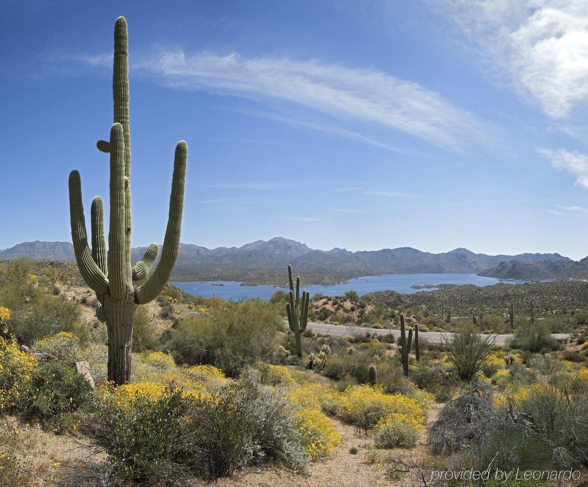 Hilton Garden Inn Scottsdale Old Town Luaran gambar